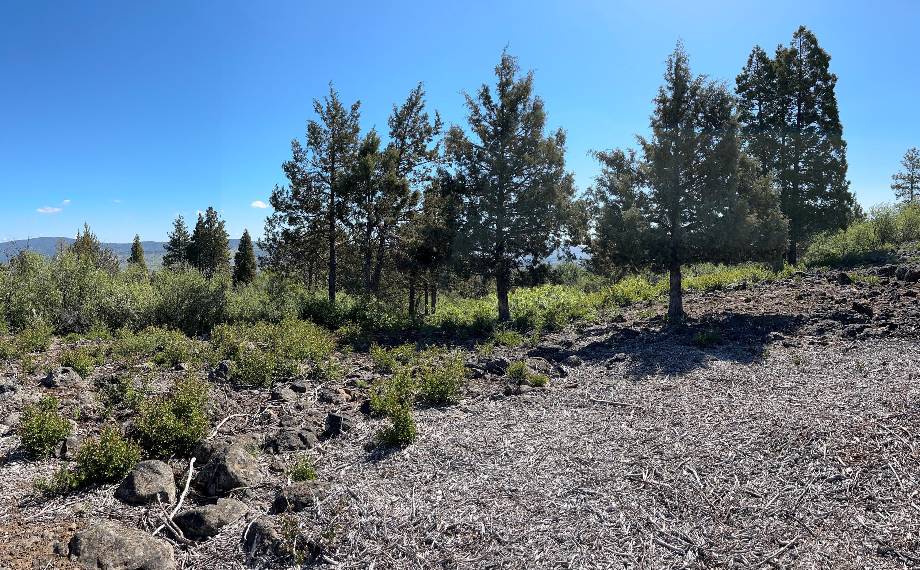 Ridgewater Subdivision -Phase 1 - Land