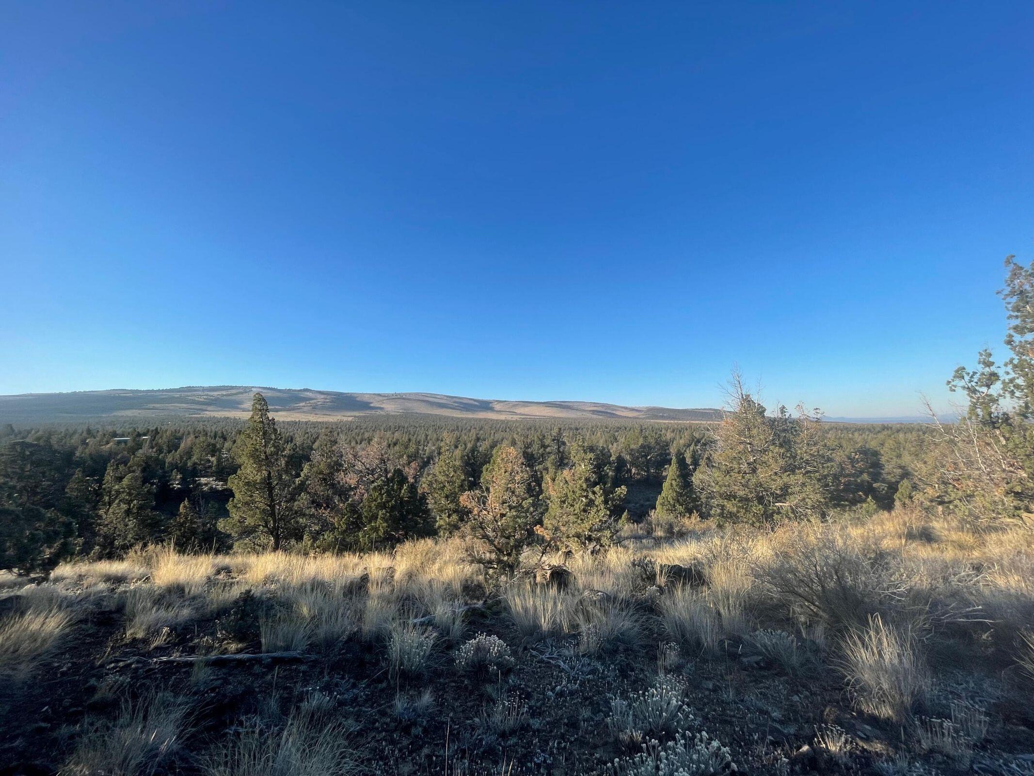 Juniper Acres - Land