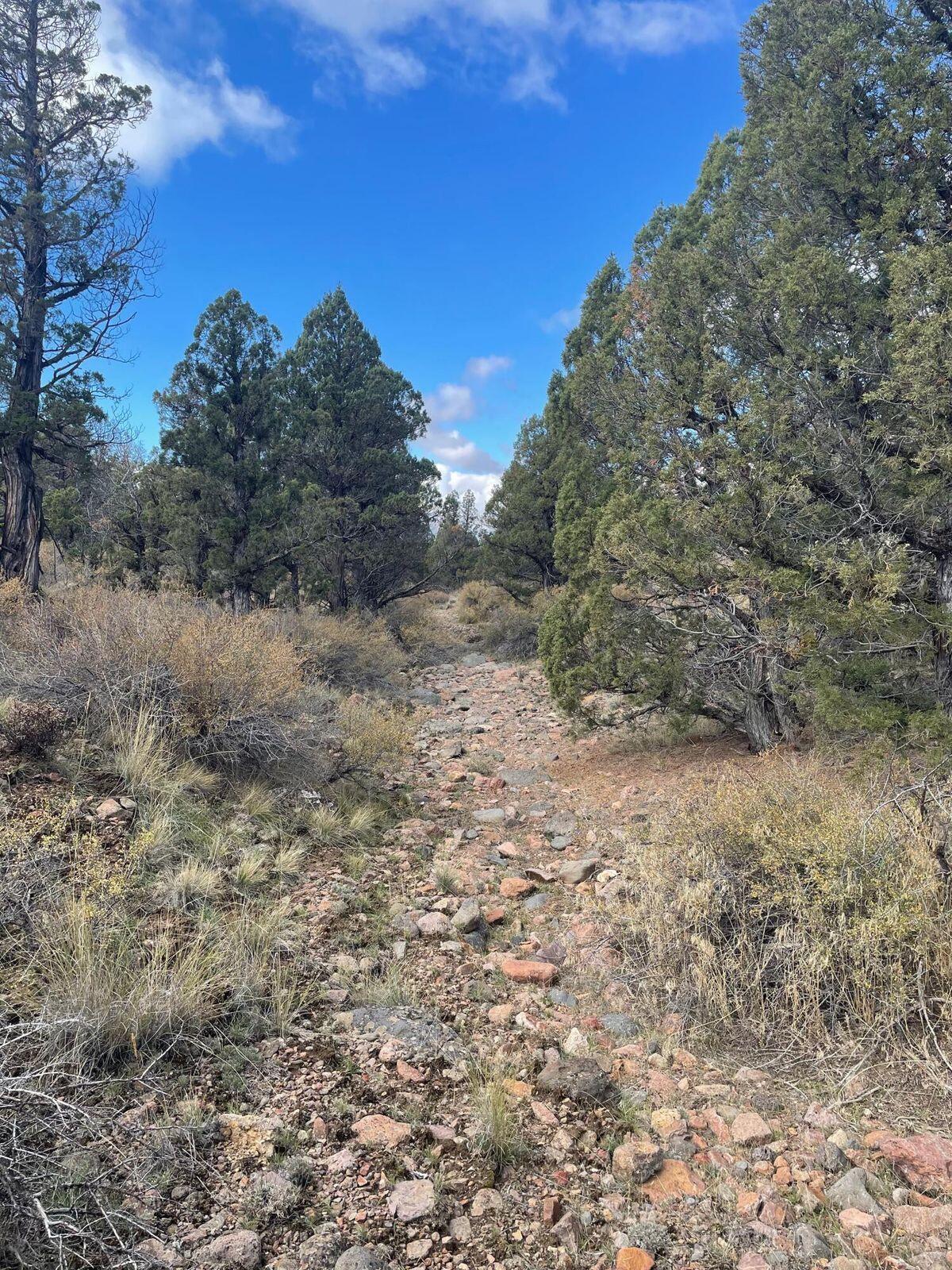 Juniper Acres - Land