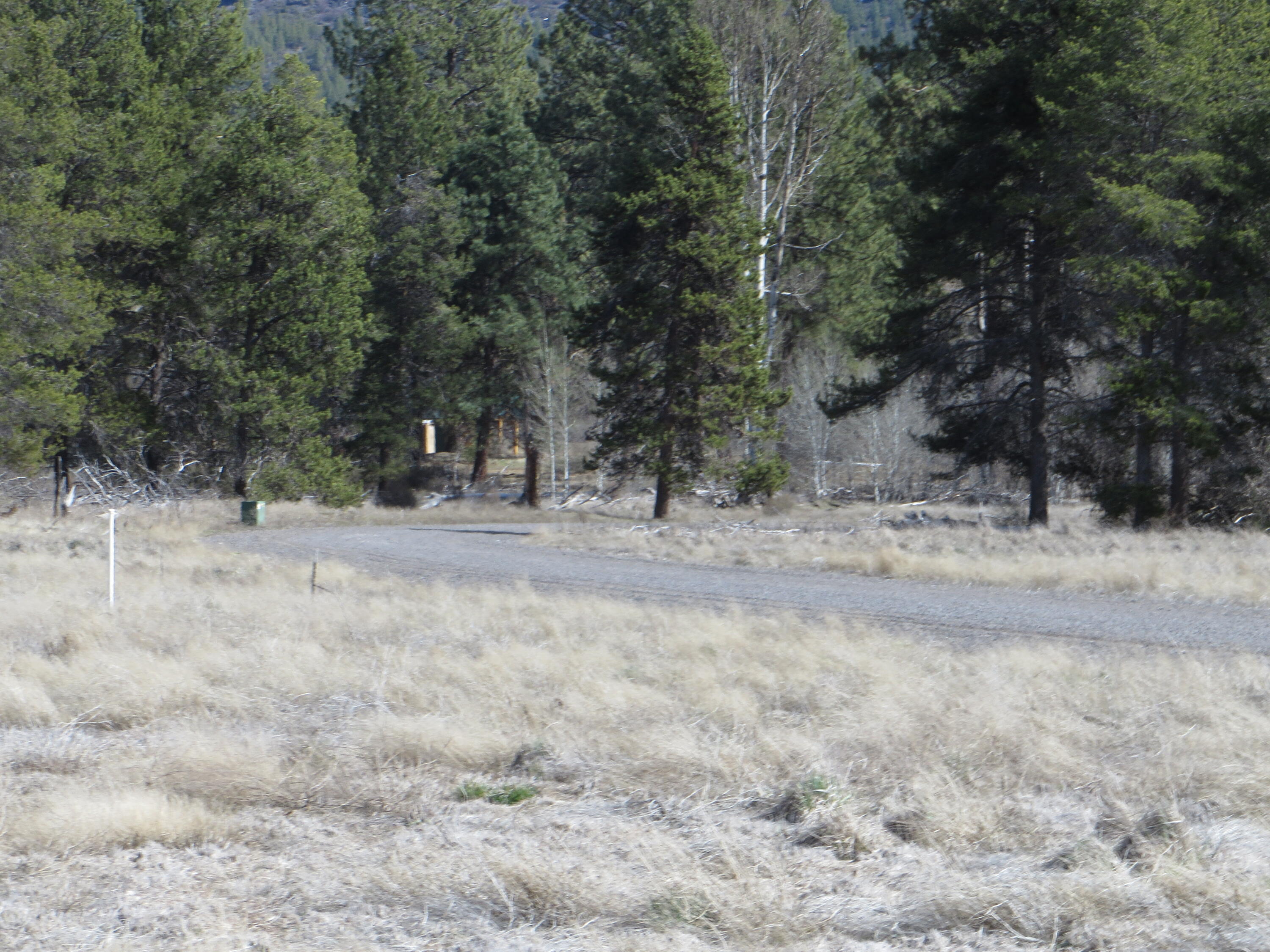 Pine Ridge Ranches - Land
