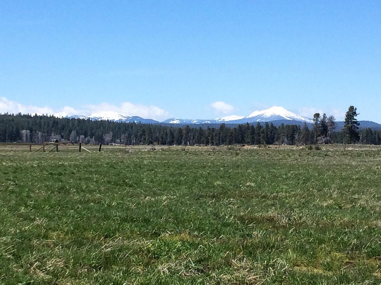Enjoy this 5 acre lot in the upscale subdivision of Pine Ridge Ranches.  Room for all your buildings and animals.  This is a gated subdivision for extra privacy and security.  Short hop to the town of Chiloquin, about 35 miles to shopping in Klamath Falls.  Owner had a new well installed, lot is approved for standard septic, power at the road, just need to bring it into the homesite.  This subdivision sits on the banks of the Williamson River-for lots  without waterfront, there is an easement between lots 6 &7 for off water owners to access the river for fishing and enjoyment.  Because it is hard to find 5 acre parcels in our area, this lot may fit your needs if you would like more acreage than the standard lot.  Upscale homes protect your investment and life style here.