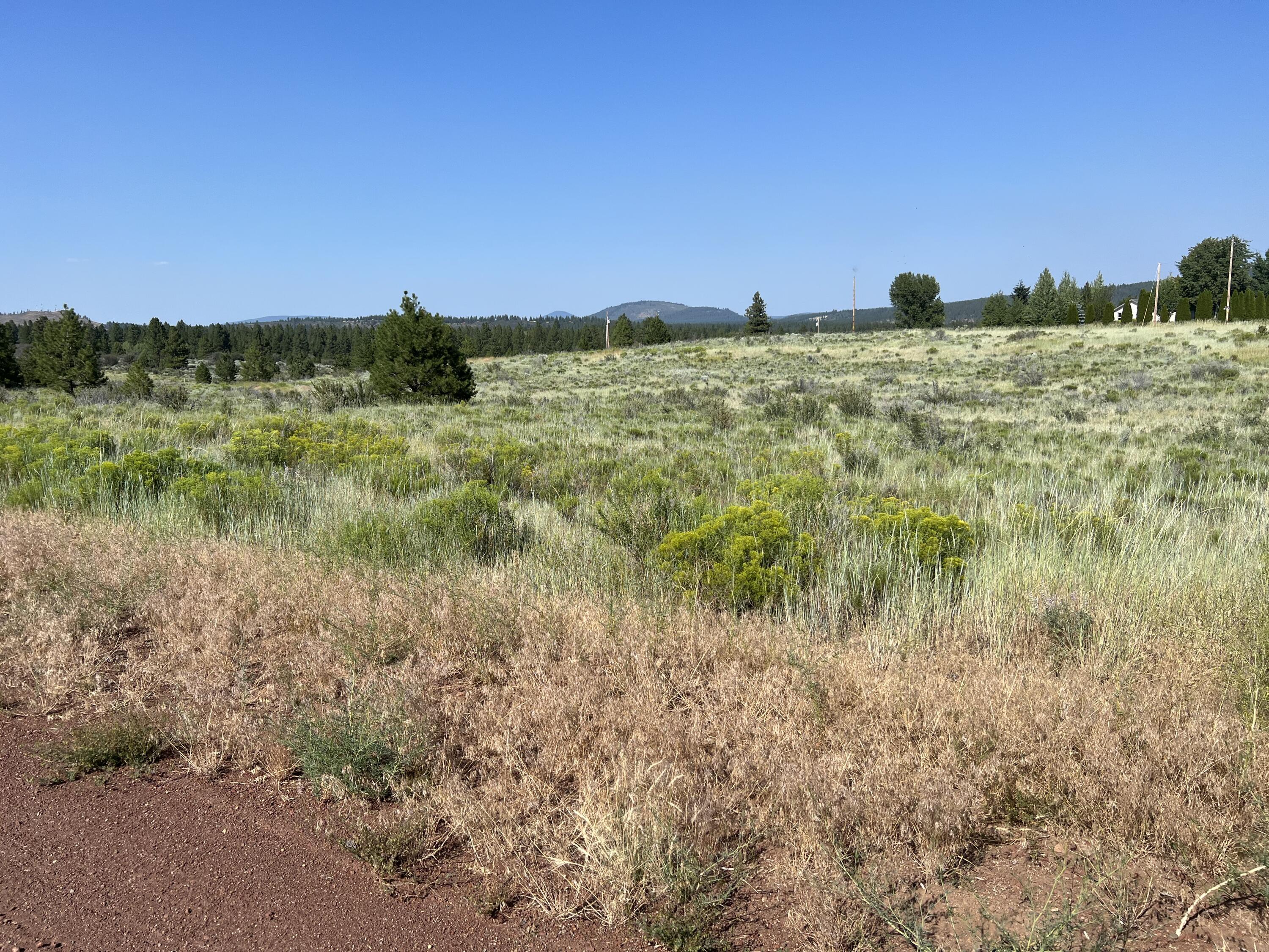 Nice .28 acre lot in OS 2 Sub-division, has there own community well, CCR's & yearly HOA fee of a current $200 per lot which covers water usage, road maintenance and access  to the Oregon Shores 2 recreational gated lakefront park for camping, RV Boat Launch. Just minutes to the Williamson River & Sprague River, approximately 30 miles to Crater Lake National Park. All potential buyers to perform their own Due Diligence with regard to locating the property corners.  The HOA fees are $200 per lot.