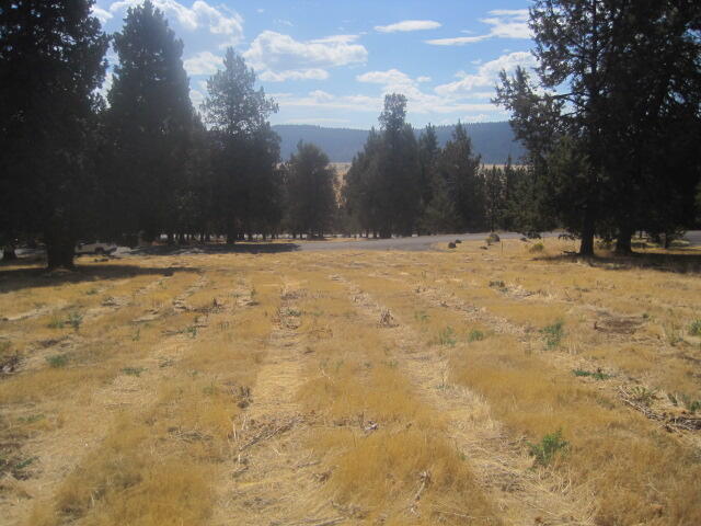 Running YResort - Land