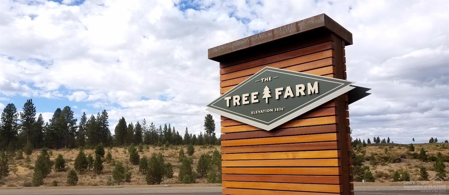 Tree Farm - Land