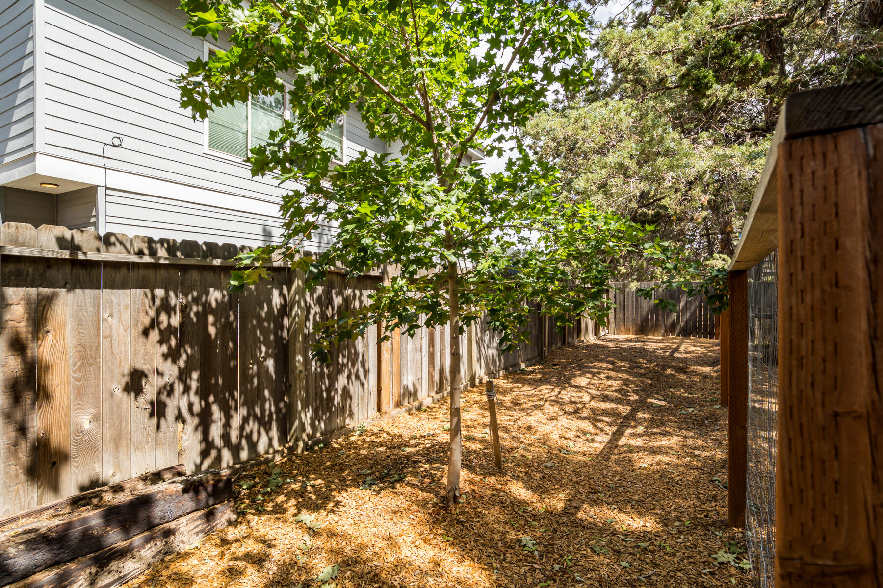 Clear Sky Estates - Residential