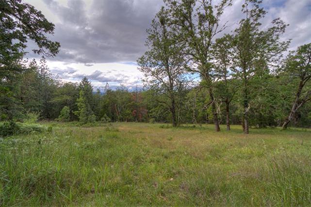 Absolutely Beautiful Property in the Fish Hatchery Road Area. End of the Road Privacy, Stunning Mountain and Valley Views, and BLM Border are just a few of the features this Property has to offer. A Well-Built Driveway leads you to the Stunning Homesite, featuring a Pretty Open Meadow and Scattered Trees. Several Incredible View Sites to choose from. This Property has a Well Drilled that shows 8 GPM per Well Driller's Log, Septic Approval, Mountain Spring, and has been Surveyed. Plenty of room for Gardens, Fruit Trees, Outbuildings, and Animals. Located in an attractive Desirable Area, this is one of, if not the only Available Building Lot on this Quiet Country Road. LOTS of Wildlife, and Direct Access to BLM offer endless possibilities for recreation. You will be taken by the Setting and Beauty of this Parcel.