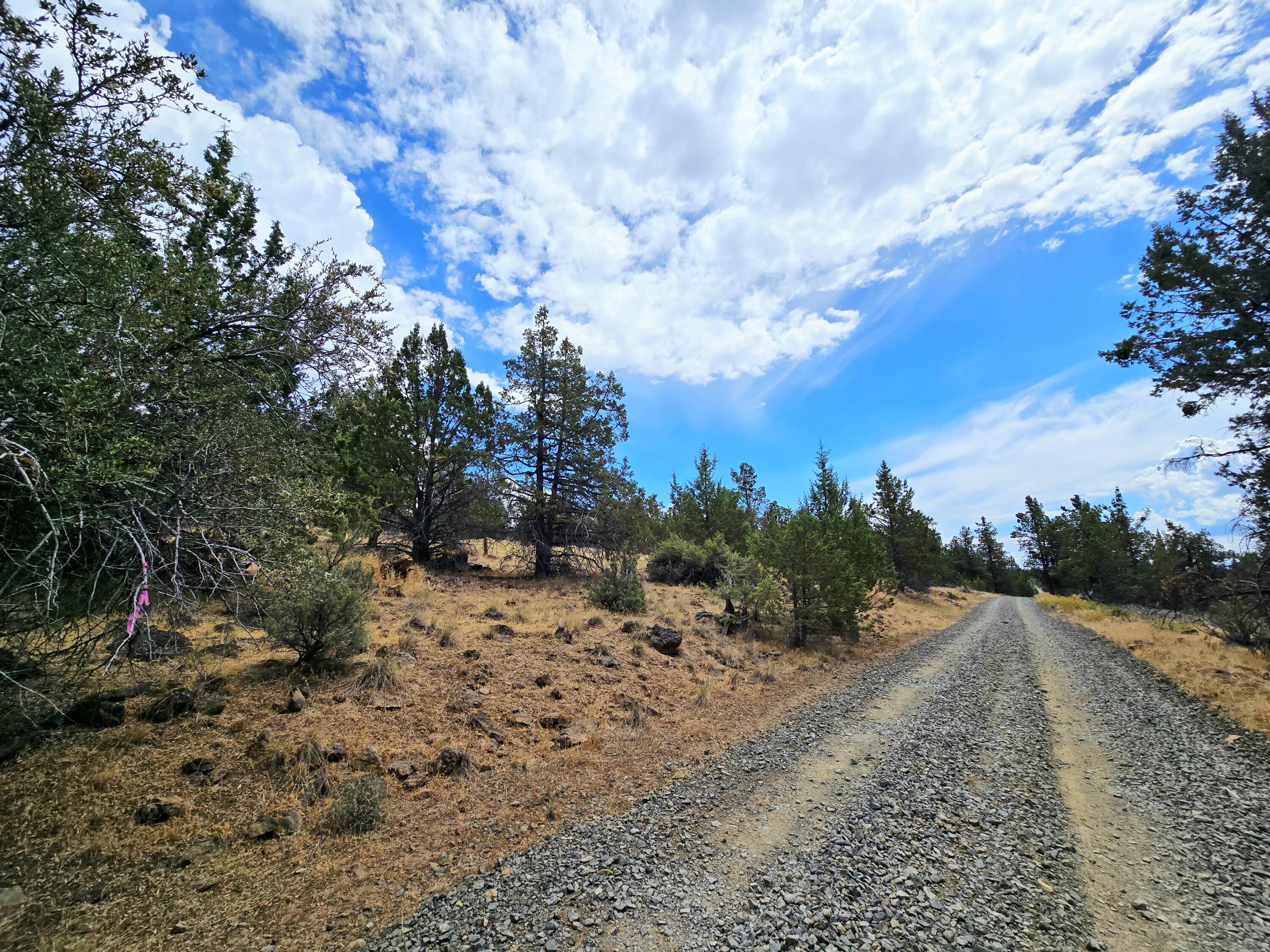 Klamath Falls Forest Estates -Hwy 66 Unit -Plat No. 2 - Land