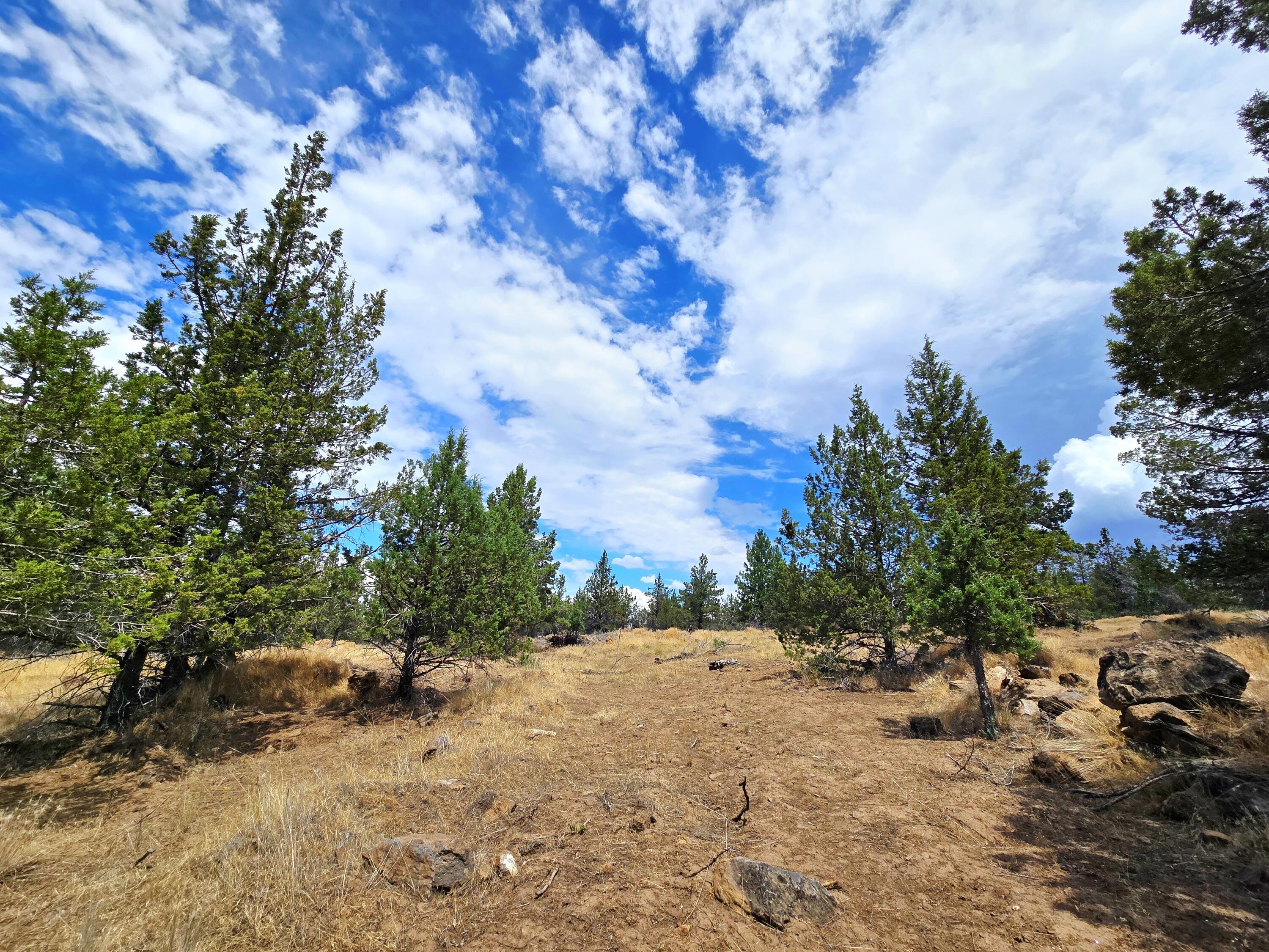 Klamath Falls Forest Estates -Hwy 66 Unit -Plat No. 2 - Land