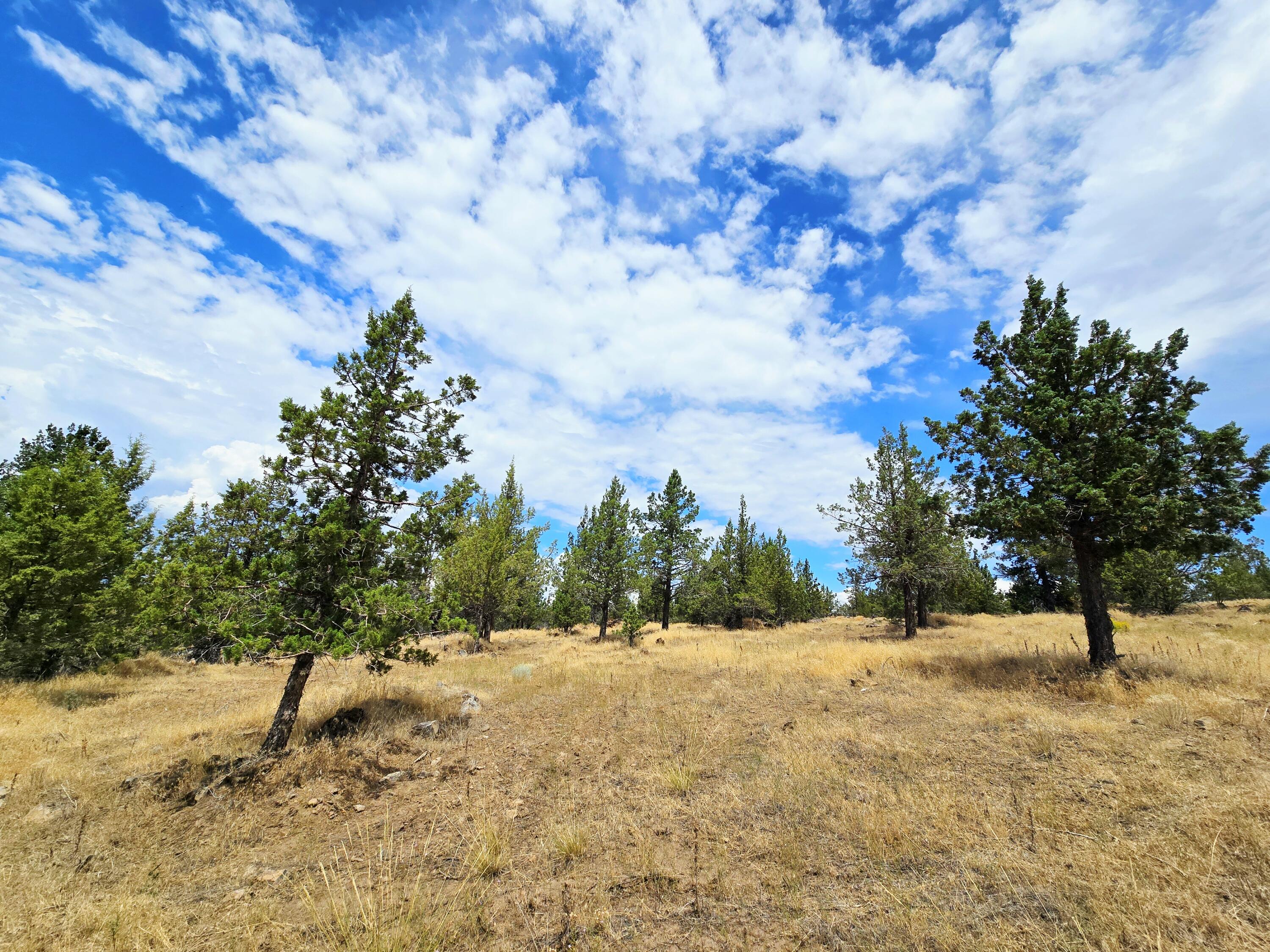 Klamath Falls Forest Estates -Hwy 66 Unit -Plat No. 2 - Land
