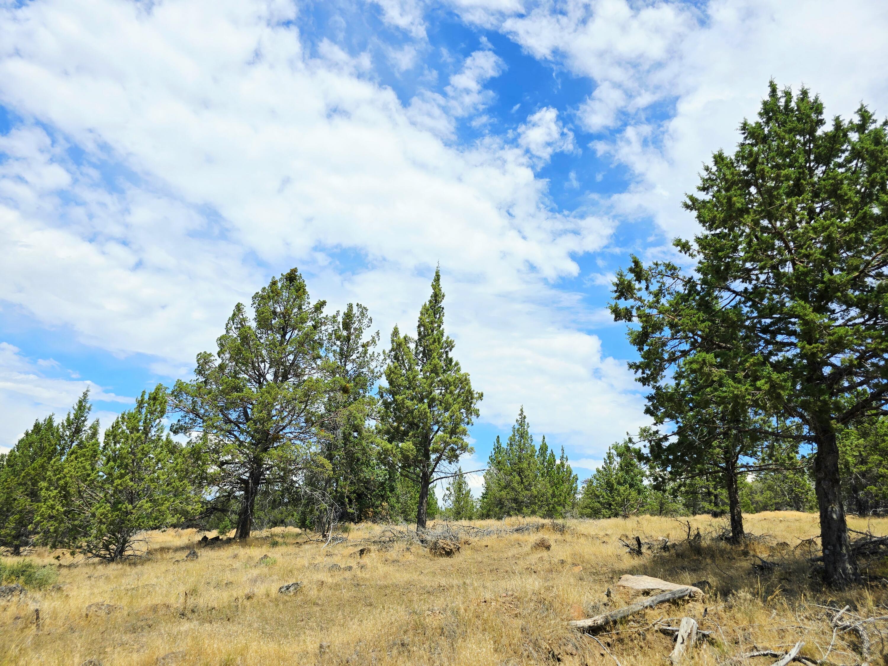 Klamath Falls Forest Estates -Hwy 66 Unit -Plat No. 2 - Land