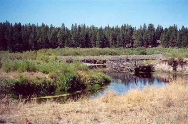 Chiloquin - Land