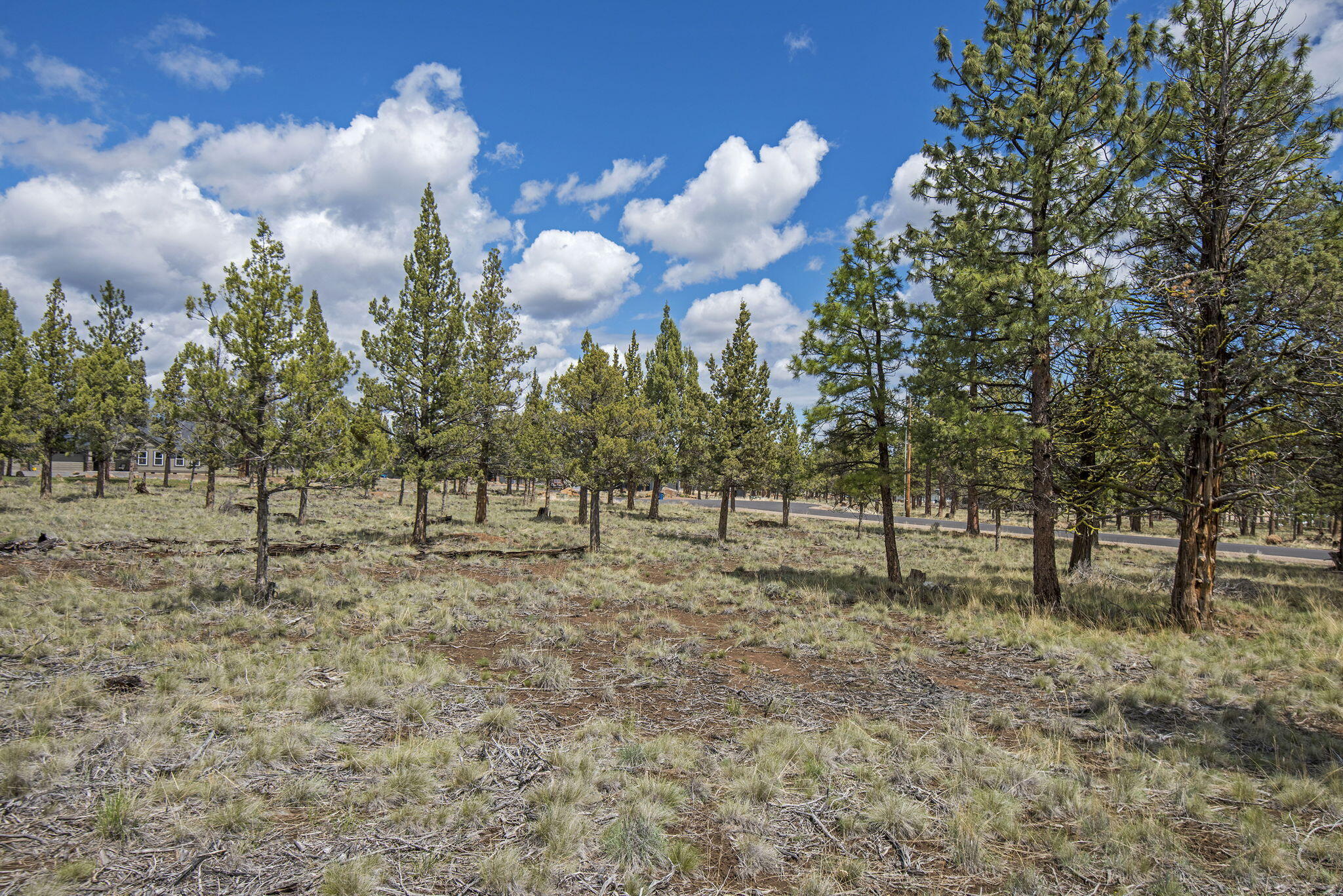 2.04-acre buildable lot for sale in Sisters, Oregon. This property is situated in Squaw Creek Canyon Recreational Estates, a CC&R protected neighborhood of 1+ acre homesites. Nicely treed lot has access to utilities, including cable and electric. Water is provided through a community water system, managed by Avion.   A paved road leads to this level corner lot ensuring easy access. 6.7 miles (approximately 12 minutes) to downtown Sisters, Oregon shopping, restaurants, parks, schools and events!