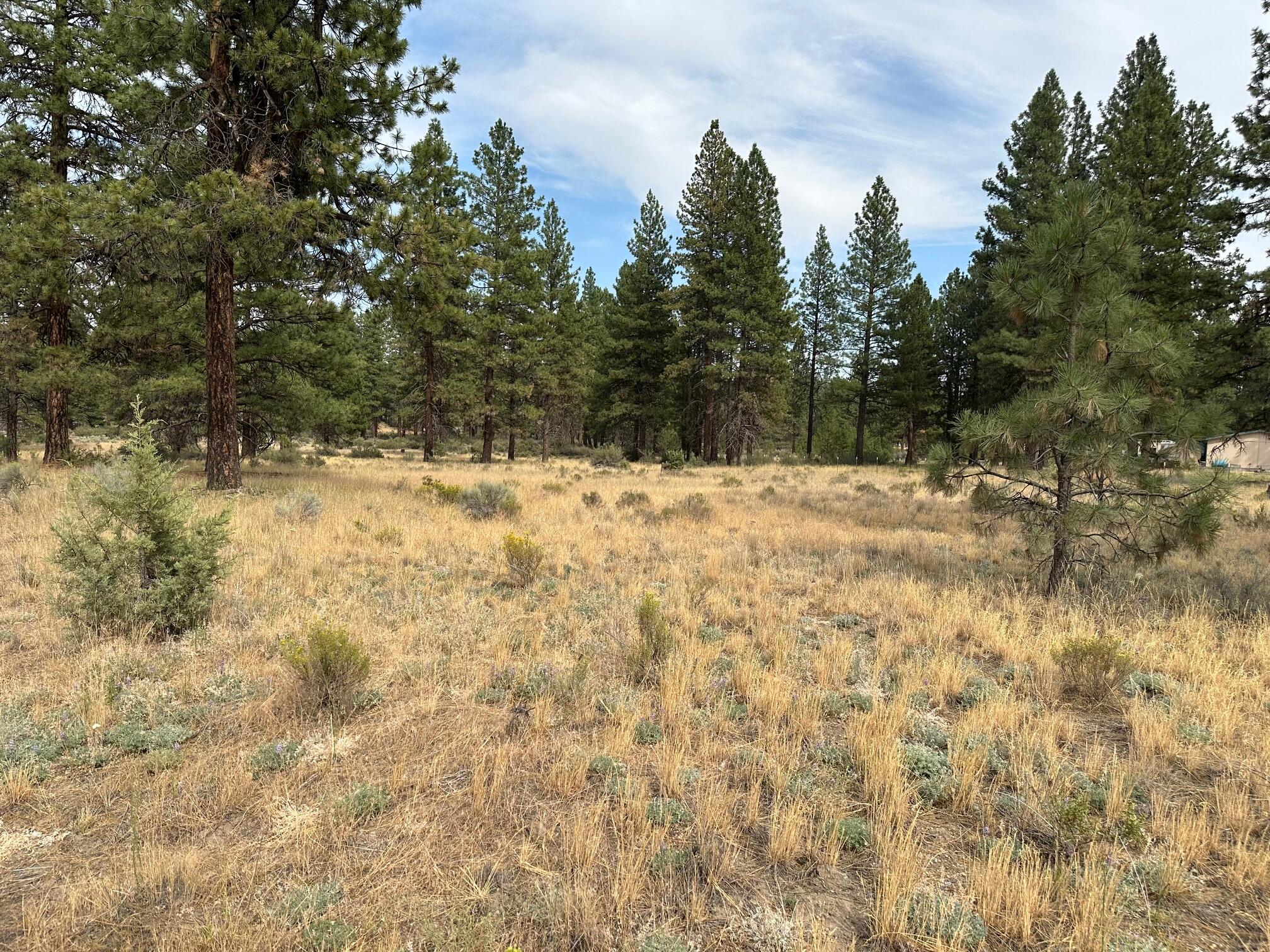 I am sure you are tired of hearing what a nice lot this is, but please do not let this one slip away if you are truly looking for a great one. Nice and level, power across the road, located in an area of good wells and septic possibilities. Quite a few stately pine trees plus several nice buildings sites on the property. Seller and broker do not guarantee property corners. Once more, don't miss this great opportunity!