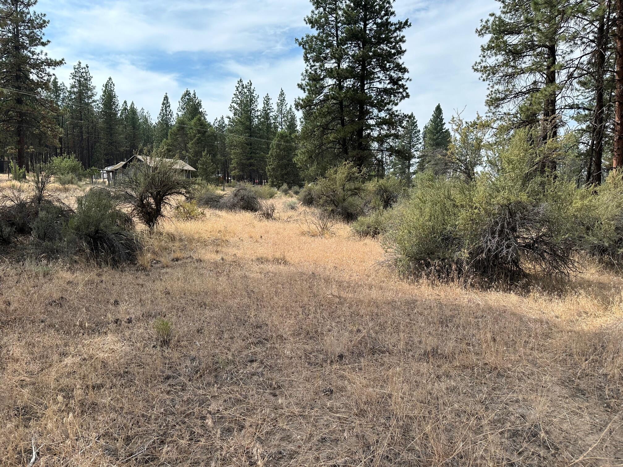 Klamath Forest Estates - Land