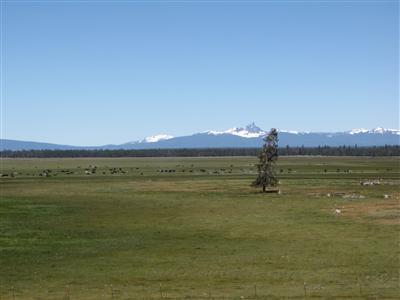 Sold Western Portion Only ;The 1440 acre Jackson Creek Ranch boasts 2+ miles of Williamson River frontage. Possessing 1800 acres of solidly established water rights, and a highly nutrient feed base, The Jackson Creek Ranch consistently produces marvelous results for cattleman.