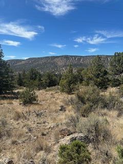 Juniper Hills - Land