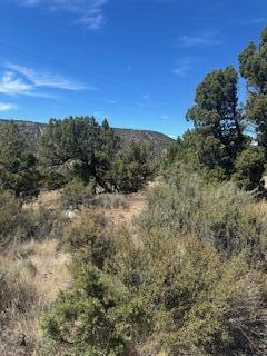 Juniper Hills - Land