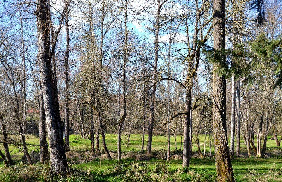 Riverwalk - Land