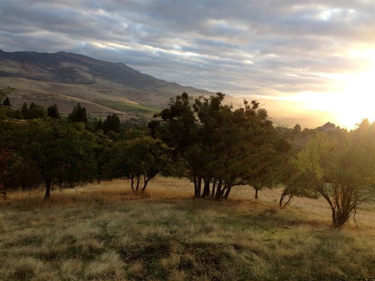 Price reduced! Seller very motivated!! Bring your builder! Almost 2 acres with gorgeous views and irrigation! 7+ GPM Well is in! Home site approval and septic location approval obtained! Only 5 minutes (on a paved road) from downtown and freeway access. Snatch up this beautiful piece of property before someone else does! There is nothing on the market quite like it.