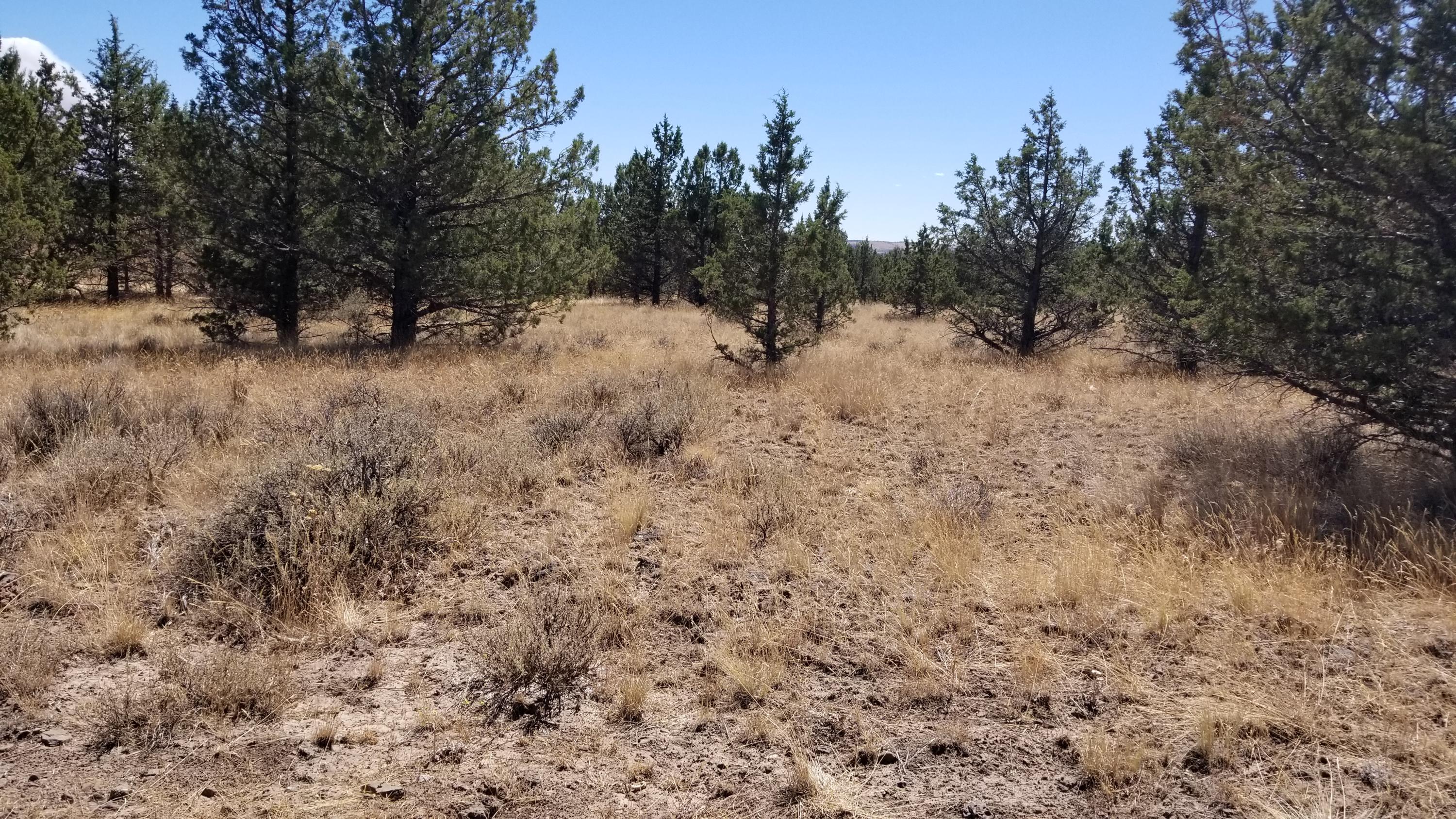 5 rural acres.  Bring your horses or toys and ride for miles.  State lands near.  No CC&R's or HOA. Nice parcel, just waiting for your new home, shop, animals or toys.