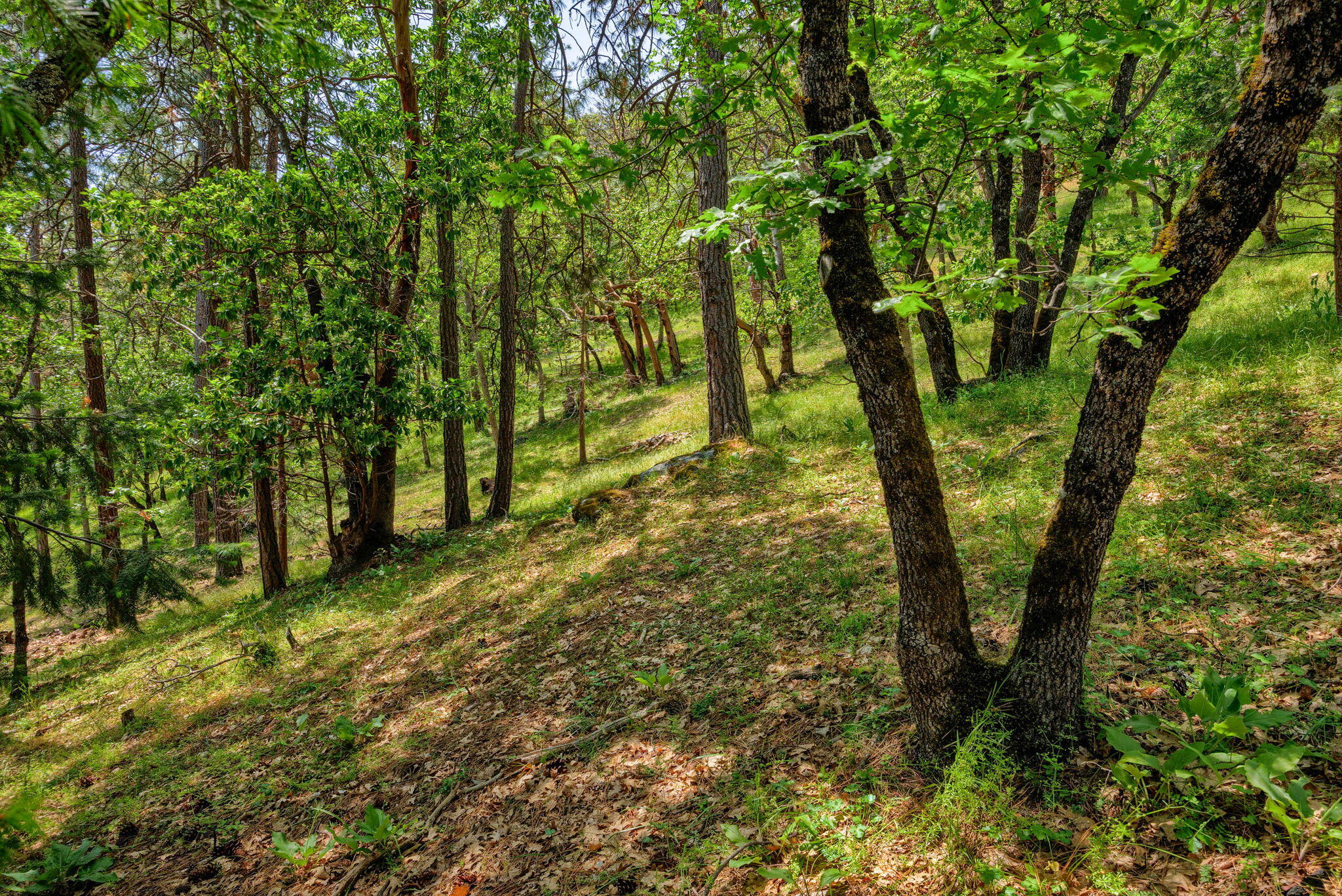 Strawberry Meadows Subdivision - Land