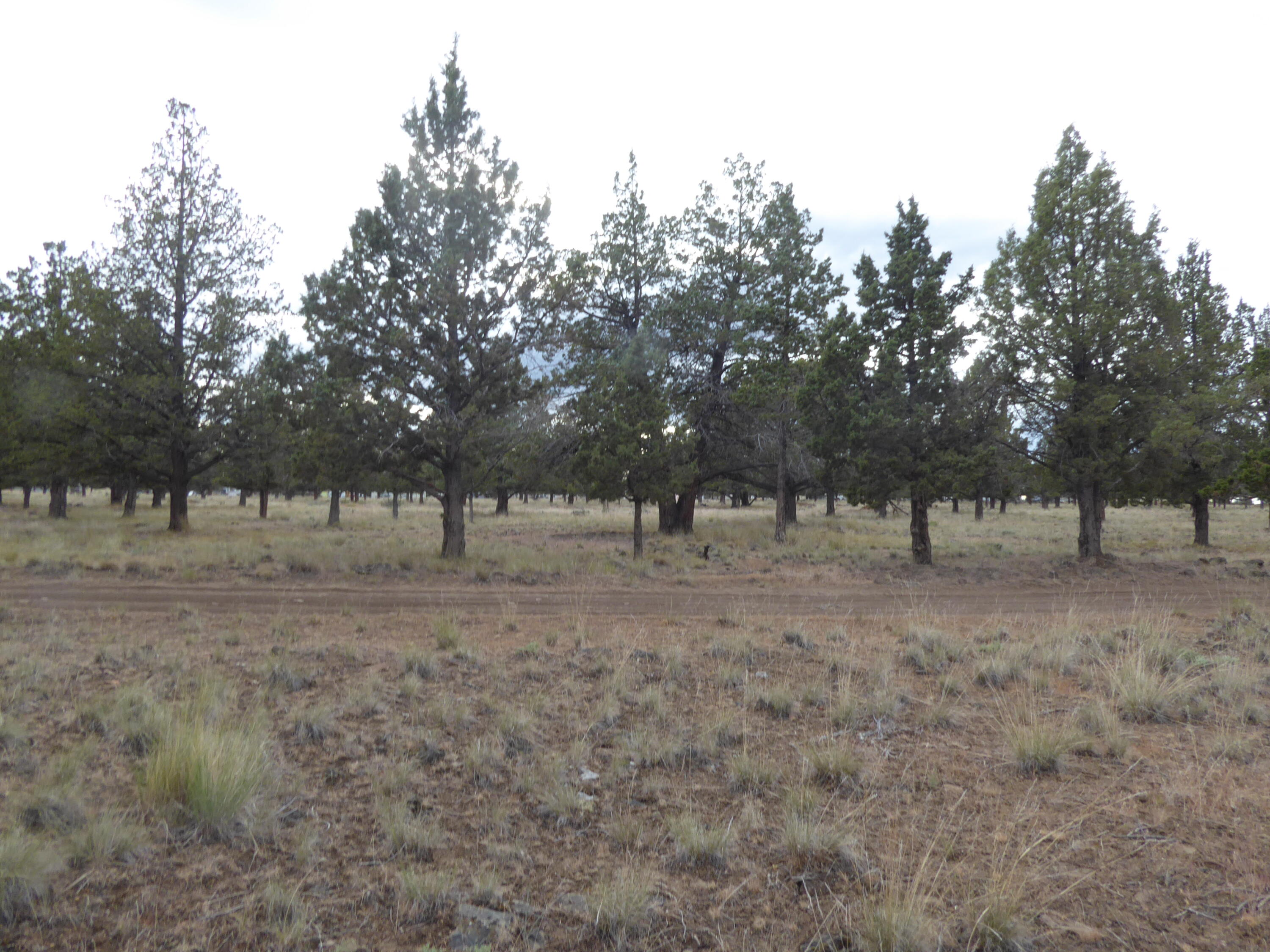 Come check out this level flat 5 acre parcel. Perfect for full time residence or vacation property. Power is close by. Property has been perk tested for standard septic system. Close to the third landing of Lake Billy Chinook and the Lake Village Store. Property backs up to airstrip operated by Airport Management. Buyer to perform due diligence with Airport Management in regards to buy in with Corporation. Buyer and buyers agent to due diligence with Jefferson County in regards to building. Property is in measure 37 and 49 new owner will only have 10 years to build.