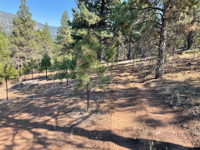 Here is a wonderful property to build your dream home! This beautiful 9.13 acre property is located in the highly desirable Plum Valley area off of Old Fort Rd on Simpson Canyon Road! Mature trees and Mule Deer are a must see on this slightly sloped property! Come check it out.