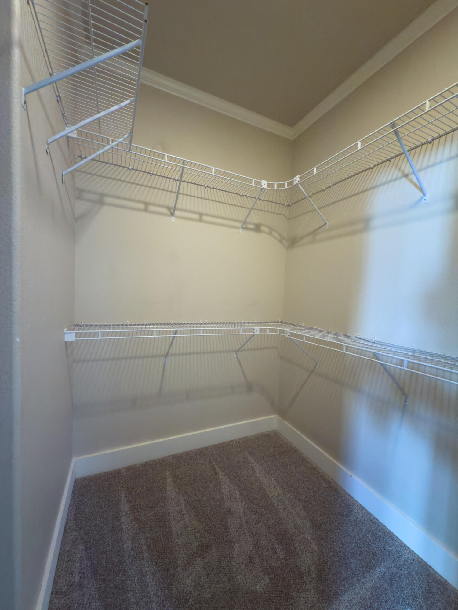 Cloud 9 Estates - Residential