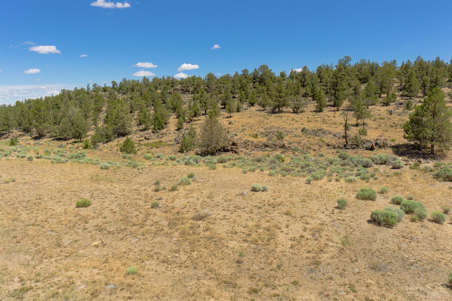 Deschutes River Ranc - Land
