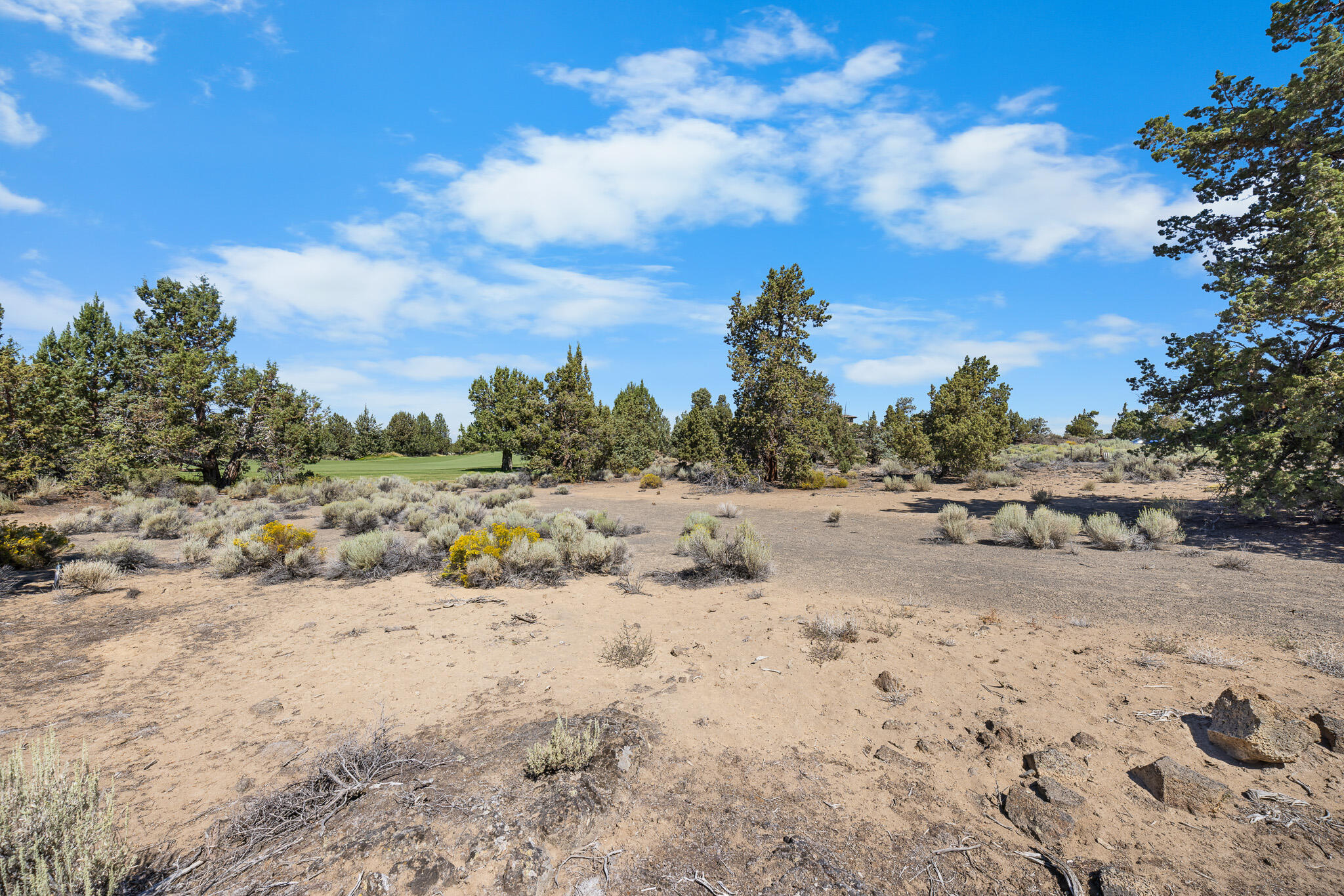 Pronghorn - Land