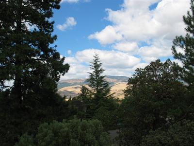 Basically flat 10,454 square foot lot in the established Oak Knoll neighborhood of Ashland. Adjacent to common area/open space, with views of the mountains to be had through the trees.