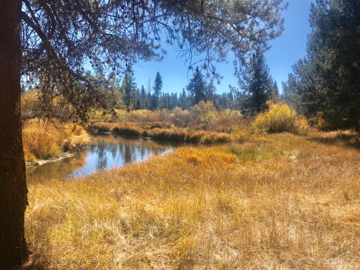 Take Advantage of Owning 2 Separate Tax Lots totaling .78 Acre, Build your Dream Home on Build able Lot with the Attached Lot Having River Frontage. The Build able Lot has a Current Septic Feasibility.