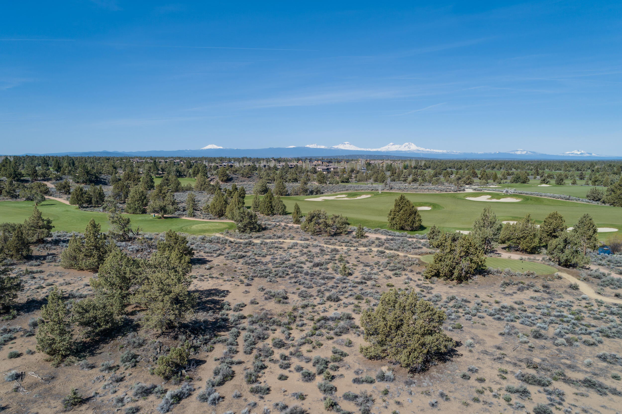 Pronghorn - Land