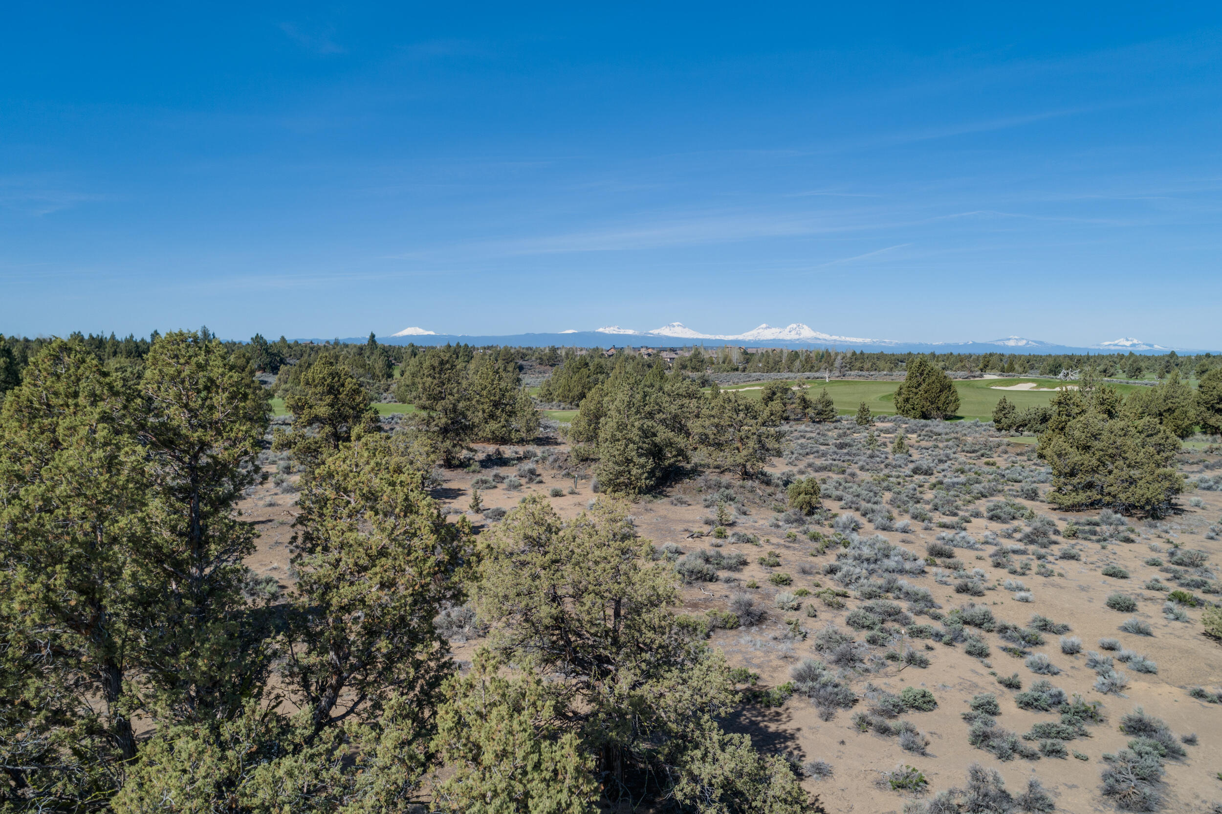 Pronghorn - Land