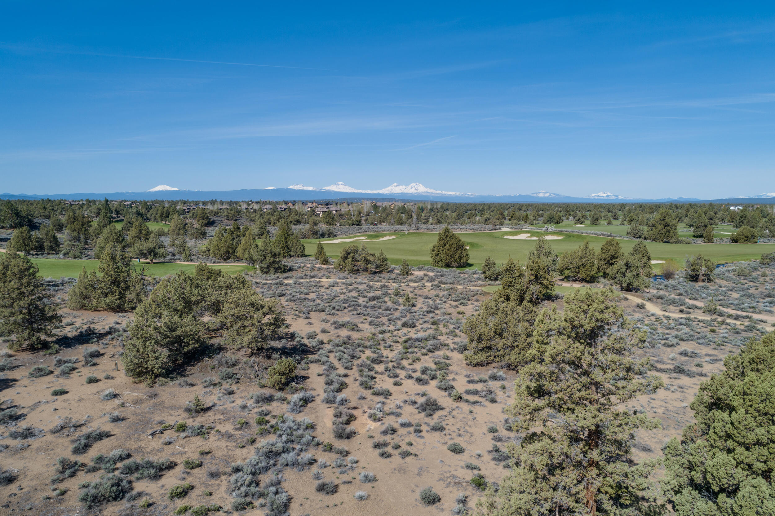 Pronghorn - Land
