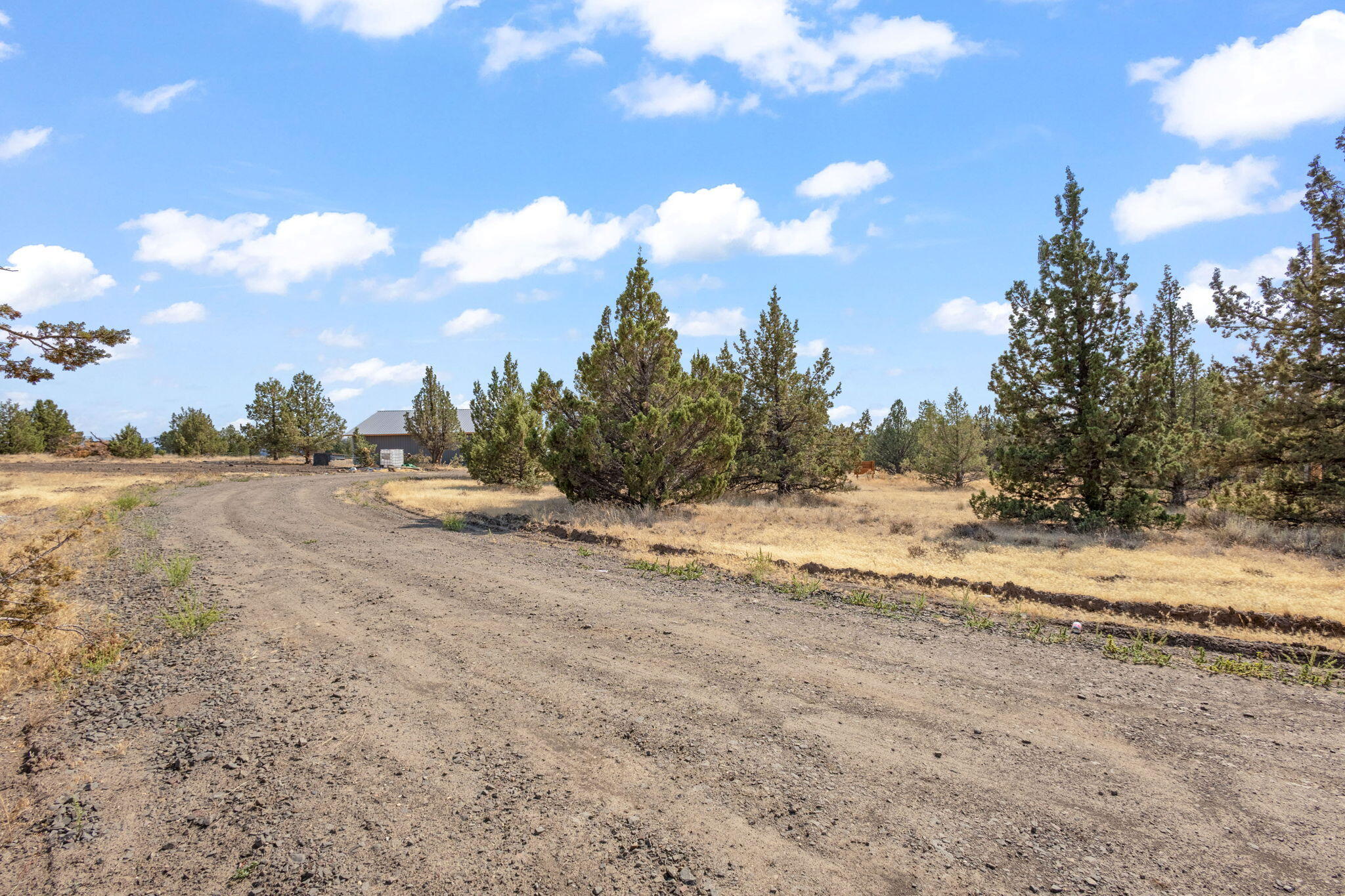 Ochoco Land + Livest - Land