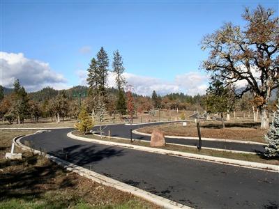 White Oak Ridge is back and with WATER! Water will be delivered through the new water system. Pick your lot and get ready to build your new home. This PUD is protected with CC&R's and HOA. White Oak is right across from the great Rogue River along with amazing views...OH the price! $40,000. Hurry before they are all gone.