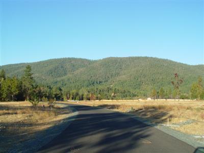 A Lot to Love! The Illinois River Estates named for the river which runs along the south side of the development and which some of the lots have frontage, is the perfect site for your future. These lots are part of a planned unit development with gated entry. There are common areas and walkways to the river and the Forks State Park is across the way for picknicking and swimming. All the lots are nearly 1 acre for privacy, RV parking, garage, kids, pets and more!