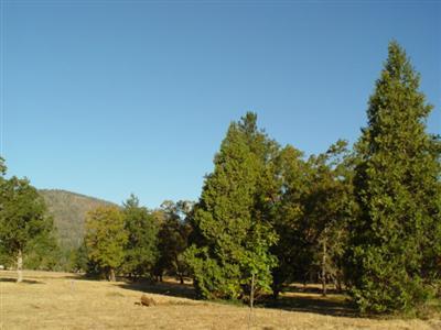 Illinois River Estates - Land