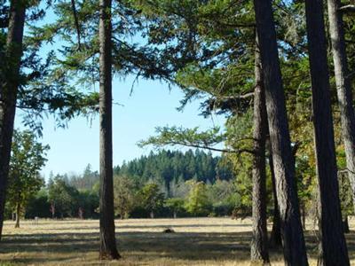 Illinois River Estates - Land