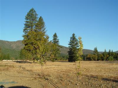 Illinois River Estates - Land