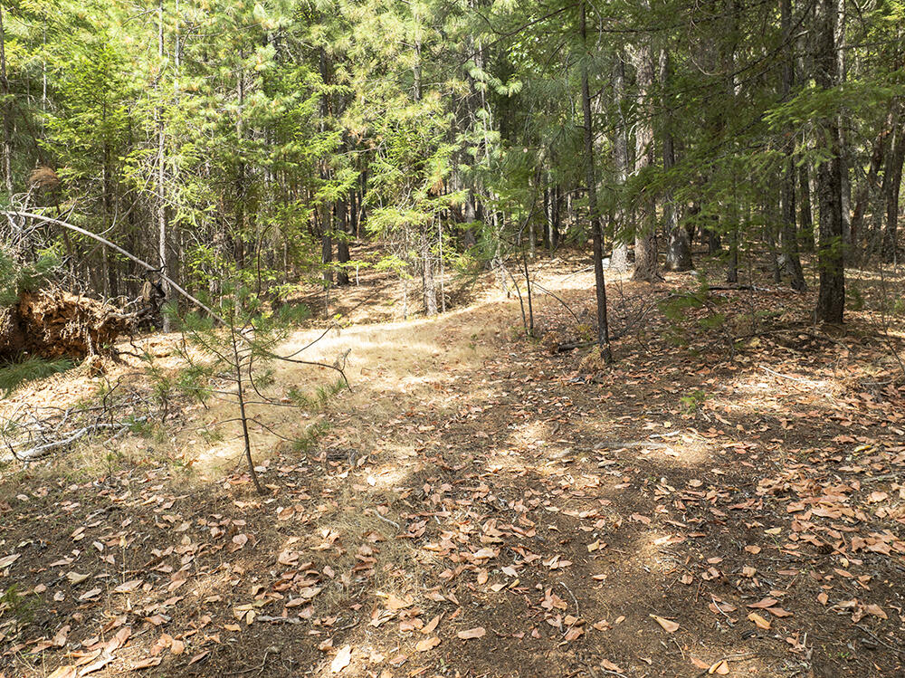 Thornbrook Subdivision - Land
