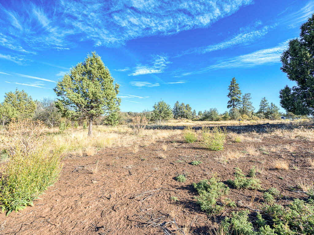 Ridgewater Subdivision -Phase 1 - Land