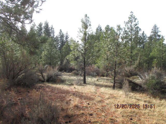 Klamath Falls Forest Estates -Hwy 66 Unit -Plat No. 2 - Land