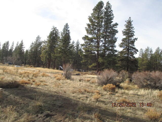 Property Highlights
Ponderosa Pines: These are iconic for their ''butterscotch'' or vanilla-scented bark and open canopy. They provide excellent summer shade without making the ground too dark for gardening.
Sandy Soil: This is a major ''pro'' for drainage. It's excellent for home foundations (less settling than clay) and perfect for plants that dislike ''wet feet,'' such as lavender, sage, and native wildflowers.
Level Terrain: A ''nearly level'' parcel is a huge win for construction. It significantly lowers costs for excavation, driveway grading, and foundation work compared to sloped lots.  Property can be purchased with two adjacent lots.