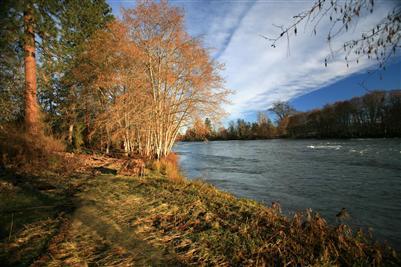Exceptional River Front Property. 10.99 park like acres on the beautiful Rogue River. Rare find with an established homesite, 30 GPM well, & a (4)bedroom septic system already installed. Relax and enjoy the fresh air on this gorgeous wooded acreage w/majestic Ponderosa pines, Oak trees, Bull pine, Fir trees & more. Incredible private setting in area of million dollar + properties. Only 10 minutes to this peaceful paradise from the core valley & only 15 minutes from the Medford Airport.