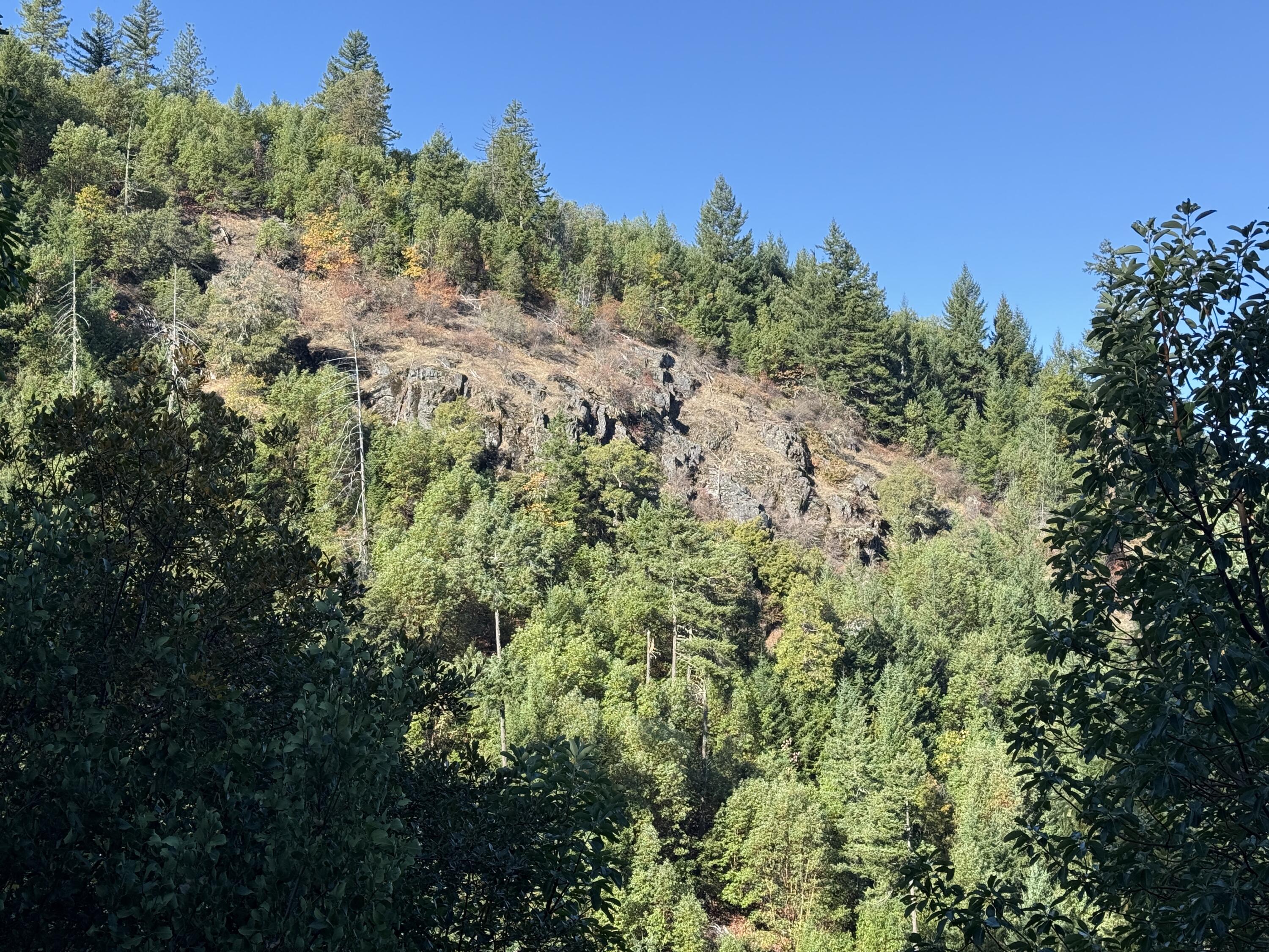 Private and secluded quarter section of land in Jackson County, Oregon. This 160+/- acres is zoned FC and meets minimum requirements for a homesite under current regulations (Buyer to complete their own due diligence with the County). This parcel offers expansive views to the north. Wildlife is abundant, providing exceptional hunting opportunities.