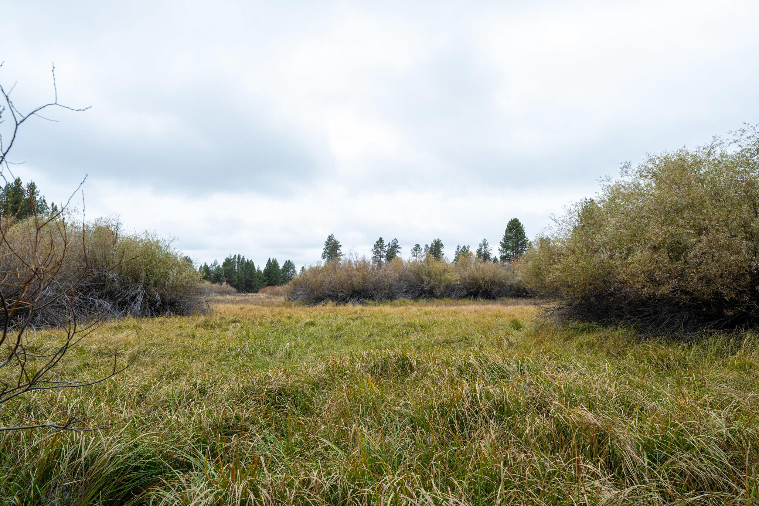 Build your dream home here and wake up to spectacular views of mountains, wetlands, trees and the natural beauty of Central Oregon. About 1/3 of the lot is buildable while the rest is meant to be enjoyed with the Little Deschutes just past the property line. This lot is situated between La Pine and Sunriver and just 30 minutes from Bend. The location is perfect for enjoying all of the recreational activities of the area as well as dining, shopping and entertainment. This vacant lot has been approved for an ATT septic system, has power and has also been approved for a single family dwelling. With this blank canvas lot you're well on your way to peaceful living, gorgeous views, unbeatable sunsets and the freshest Central Oregon air.