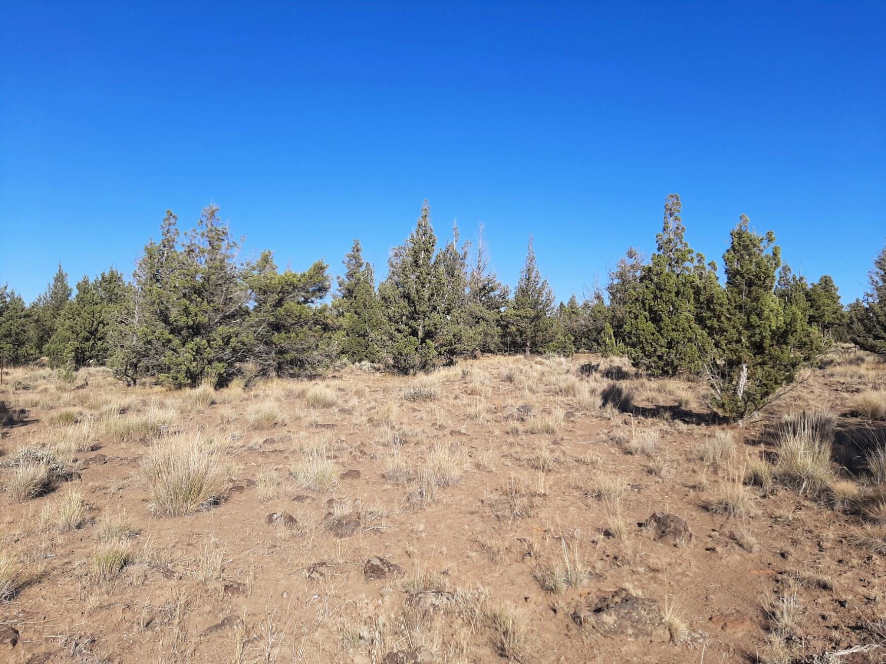 Prineville Lake Acres 2 - Land