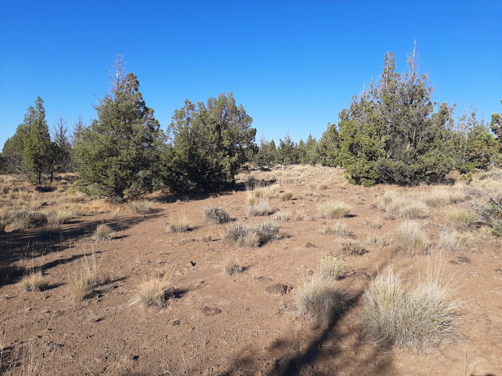 Prineville Lake Acres 2 - Land